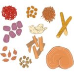 ぺニス増大に漢方薬や漢方医学は通用するのか?